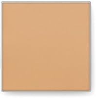Mary Kay Endless Performance Creme to Powder Foundation Beige 1 — image 1