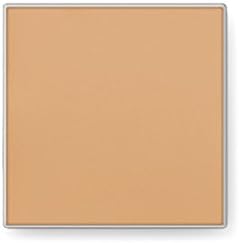 Mary Kay Endless Performance Creme to Powder Foundation Beige 1 Review