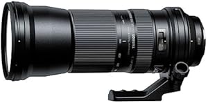 Tamron SP 150-600mm F/5-6.3 Di VC USD Lens for Nikon DSLR Review