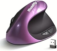 Woddlffy Ergonomic Vertical Wireless Mouse — image 1