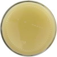 Wise Ways Herbals Beautiful Belly Balm 8 OZ — image 6