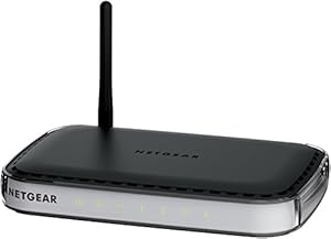 NETGEAR RangeMax Wireless Router WNR1000 Review