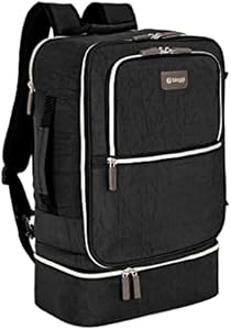 Biaggi Carry Cube Backpack Review