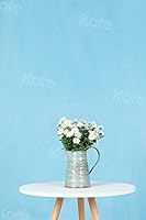 Kate 8ft×10ft Solid Light Blue Photography Backdrop — image 4