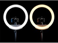 Westcott 18″ Bi-Color LED Ring Light Kit — image 6