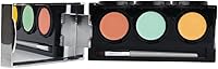 Dermaflage Color Correcting Palette, Medium — image 1