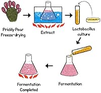 RAMOSU Hair Mist Blooming Perfume Mini Set 9 Scents 9.5mL — image 3