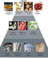 Perry Ellis 360 Coral Eau De Parfum Spray 6.8 Oz — image 4