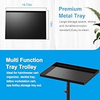 FLOLXNB Salon Tray Cart Premium Metal Tattoo Tray Rolling Trolley — image 2