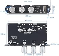 Wuzhi Audio ZK-1001U Mono Amplifier Board — image 6