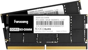 fanxiang DDR5 5600MHz 64GB (2 x 32GB) SODIMM Laptop RAM