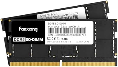 fanxiang DDR5 5600MHz 64GB (2 x 32GB) SODIMM Laptop RAM