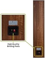 Dayton Audio Classic T65 Tower Speakers — image 6