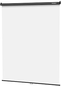 RAUBAY Retractable Pull Down White Screen Backdrop 59.8″ x 86.6″ Review