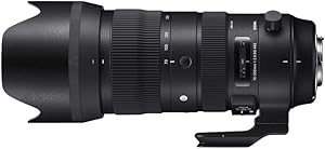 Sigma 70-200mm F2.8 Sports DG OS HSM for Canon Mount Review