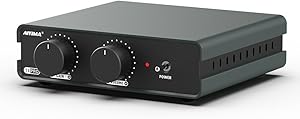 AIYIMA T3 PRO Phono Preamp Review
