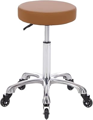 Syiole Rolling Salon Stool Swivel Chair with Wheels