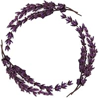 Arm & Hammer 6 Pack Liquid Hand Soap Lavender Vanilla 14oz — image 2