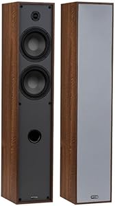 Dayton Audio Classic T65 Tower Speakers Review