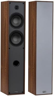 Dayton Audio Classic T65 Tower Speakers
