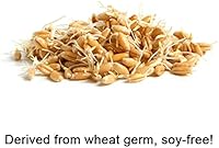 cocojojo Vitamin E Oil 8 oz — image 4