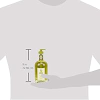 Fruits & Passion Cucina Coriander & Olive Tree Hand Soap 16.9oz — image 6