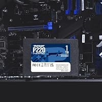 Patriot Memory P220 1TB Internal SSD — image 5
