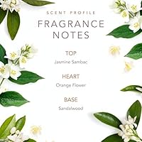 SCENT BEAUTY Early Morning Breeze by Dolly Parton Eau De Toilette 1.7oz — image 3