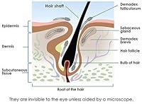 Ungex Demodex Defence Cleanser 6oz — image 6