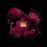 Antonio Banderas Her Secret Temptation Eau de Toilette, 80mL — image 4