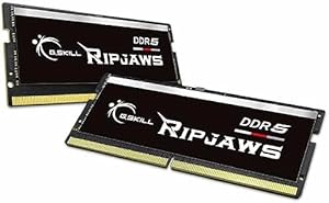 G.SKILL Ripjaws DDR5 SO-DIMM 32GB (2x16GB) 5600MT/s CL40 RAM Review