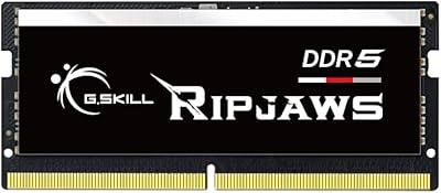 G.SKILL Ripjaws DDR5 16GB SO-DIMM 4800MT/s RAM