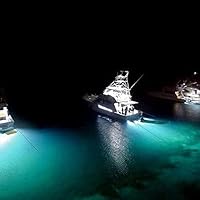 Lumitec SeaBlazeX2 Underwater LED Light — image 5