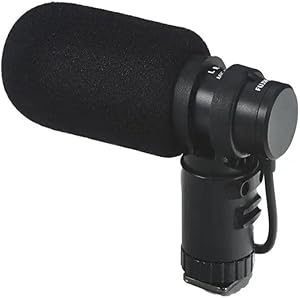 Fujifilm Stereo Microphone MIC-ST1 Review