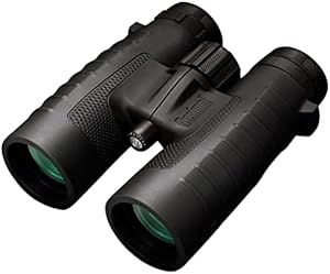 Bushnell 10x42mm Trophy XLT Binoculars Review