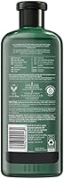 Herbal Essences Bio: Renew Mango + Potent Aloe Shampoo 13.5oz — image 2
