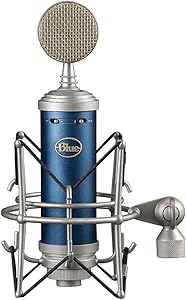 Blue Microphone Bluebird SL XLR Cardioid Condenser Microphone Review
