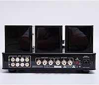 Willsenton R8 KT88/EL34 Tube Amplifier — image 6