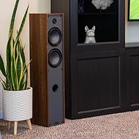 Dayton Audio Classic T65 Tower Speakers — image 7