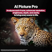 LG 42-Inch OLED evo AI 4K C5 Series Smart TV — image 6