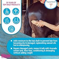 EQyss Avocado Mist Equine Coat Conditioning Spray 32 oz — image 4