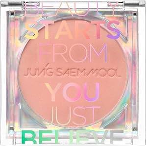 JUNGSAEMMOOL Colorpiece Blush Pure-layering Sensual Pink Review