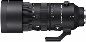 Sigma 70-200mm F2.8 DG DN OS for Sony Review