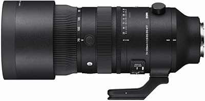 Sigma 70-200mm F2.8 DG DN OS for Sony