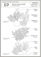 Compagnie de Provence Savon de Marseille Liquid Soap - Olive Wood - 16.7oz — image 3