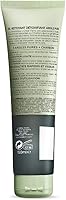 L'Oreal Paris Pure-Clay Facial Cleanser with Charcoal, 4.4 oz — image 2