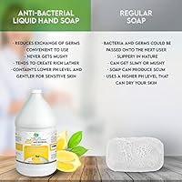 Plainly Earth Antimicrobial Liquid Hand Soap, Calm Lemon Citrus - 1 Gallon — image 6
