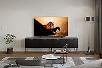 Samsung 65-Inch Class OLED 4K S85D Series TV — image 2