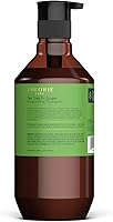 Theorie Tea Tree and Ginger Invigorating Shampoo 800mL — image 2
