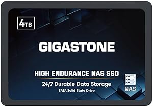 Gigastone 4TB NAS SSD